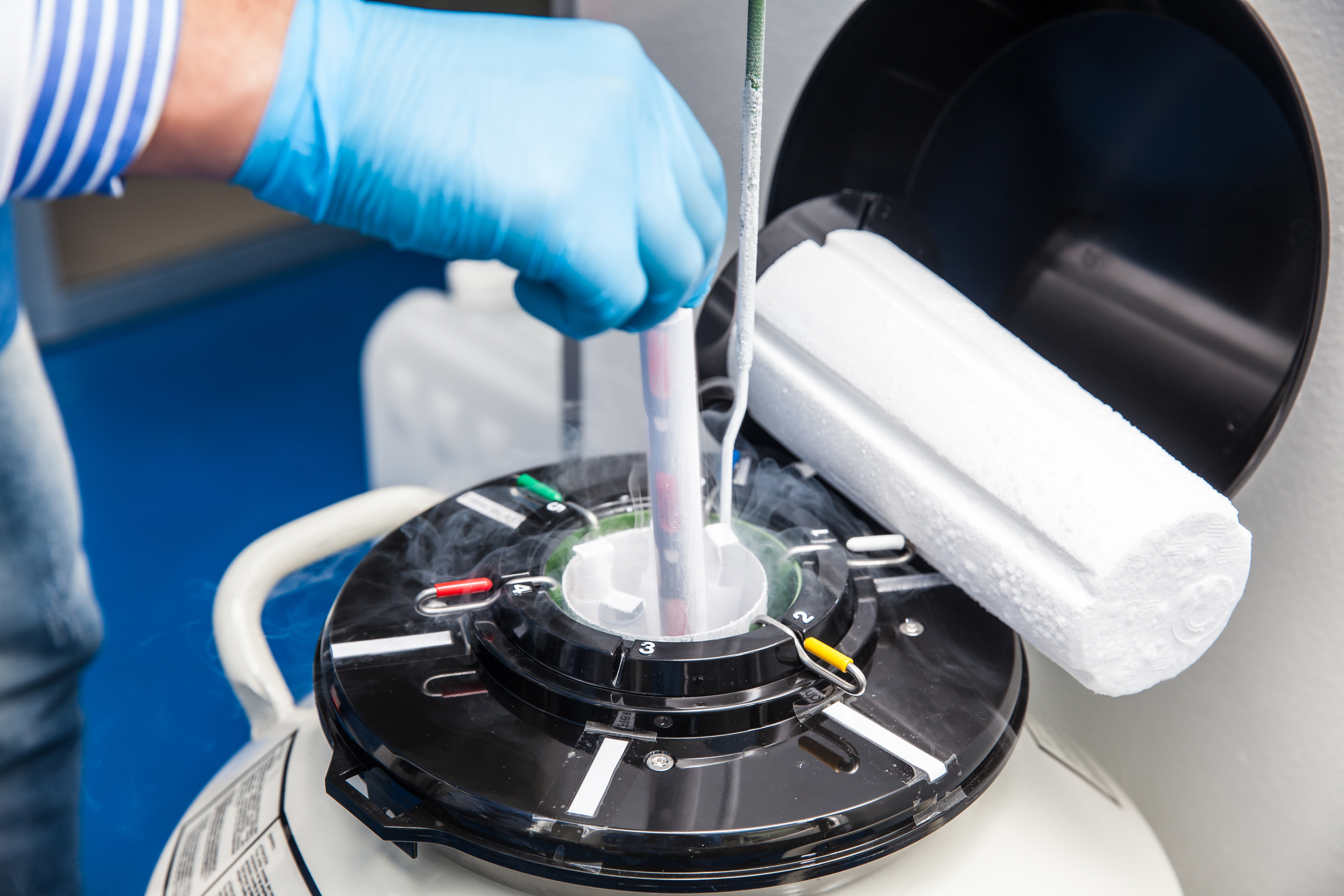 Chemicals in the Lab What Are Forever Chemicals and Why Are They in Your Food?