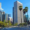 Lawyer, Attorney, Law Firm Directory | FindLaw Lawyers ...